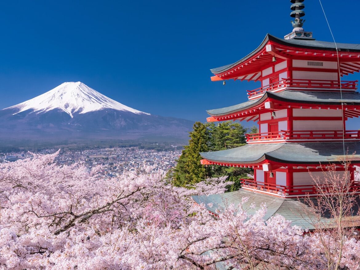 山梨で人気の「桜の名所」ランキング！ 「新倉山浅間公園」と同率の1位は？ - All About ニュース