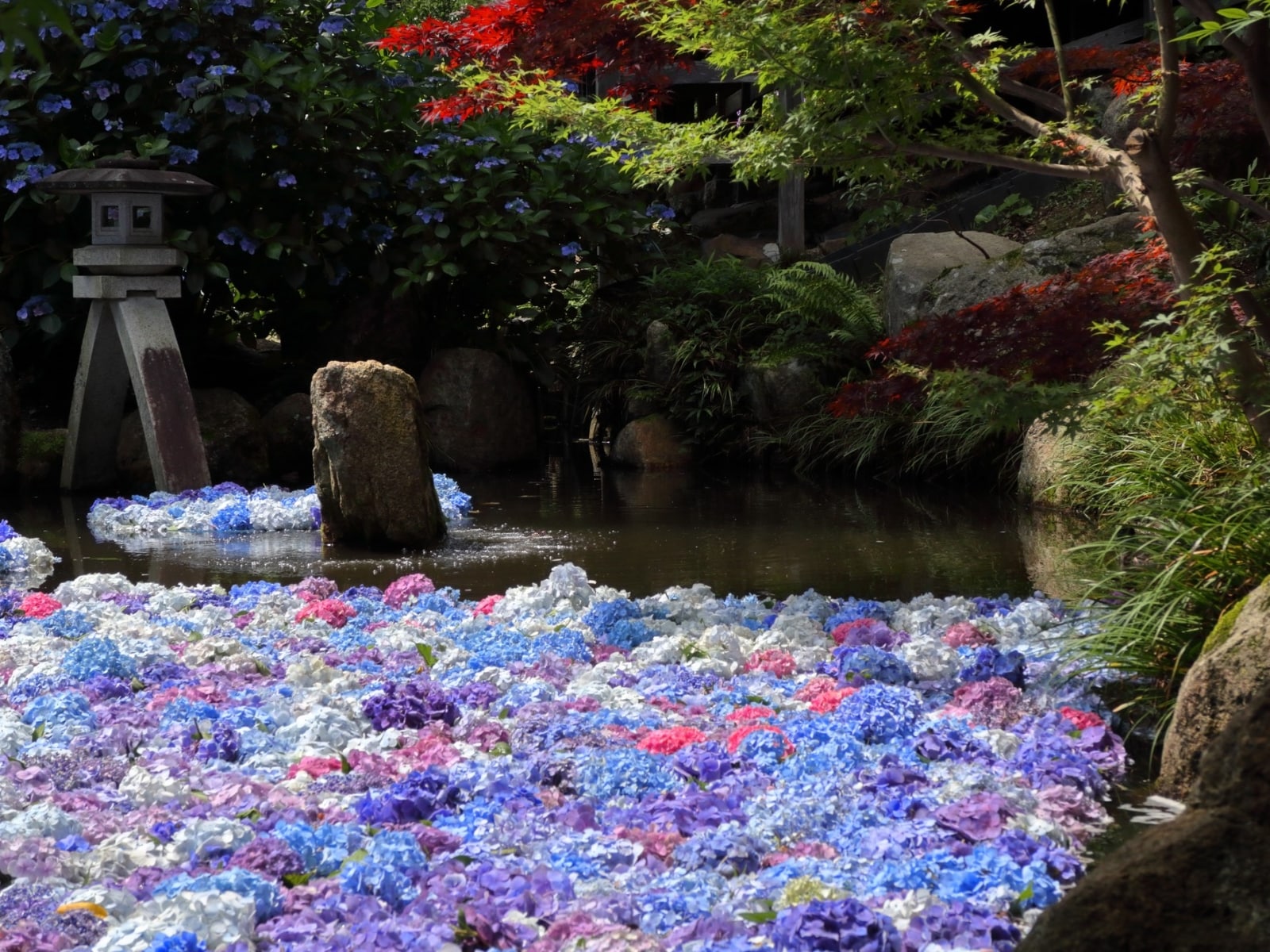 茨城県で行ってみたい&好きな「あじさいの名所」ランキング