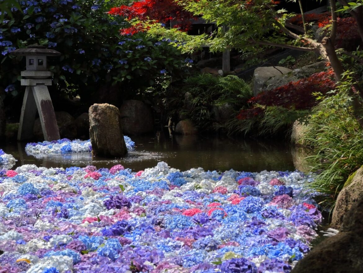 茨城県で人気の「あじさいの名所」ランキング! 2位「雨引観音」を大差で抑えた1位は? – All About ニュース 茨城県で人気の「あじさいの名所」ランキング! 2位「雨引観音」を大差で抑えた1位は? - All About ニュース