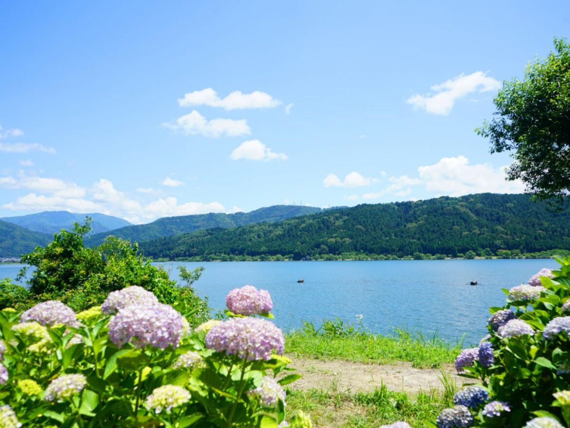 滋賀県の「あじさいの名所」ランキング！ 2位は「余呉湖あじさい園」、1位は？ - All About ニュース