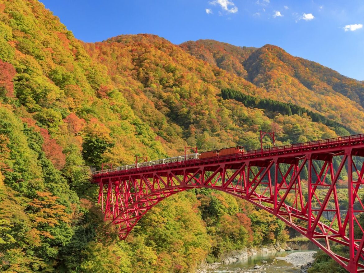 絶景だと思う「日本の渓谷」ランキング！ 2位は富山県の「黒部峡谷」、1位は？ - All About ニュース