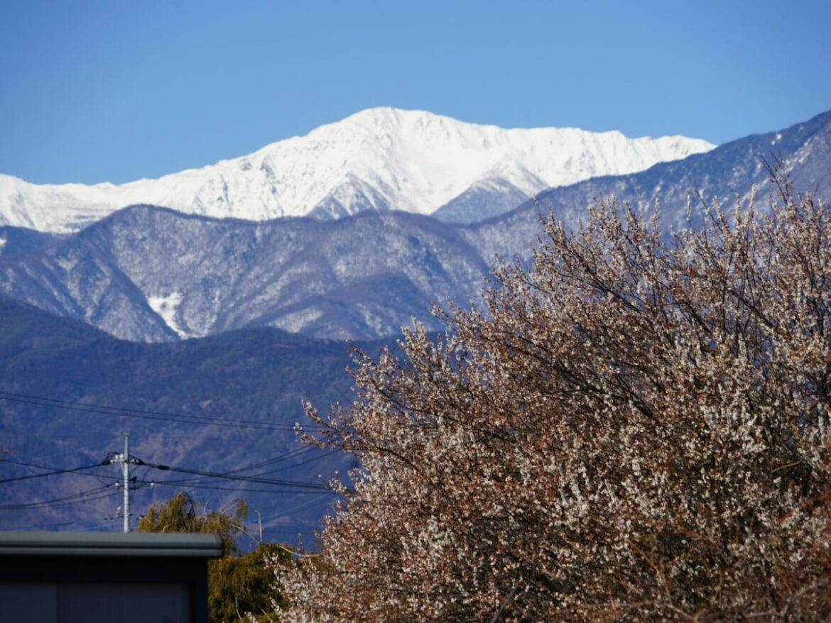 山梨県民が選ぶ「住みたい街（自治体）」ランキング！ 「中巨摩郡昭和町」と並んだ同率1位は？ - All About ニュース