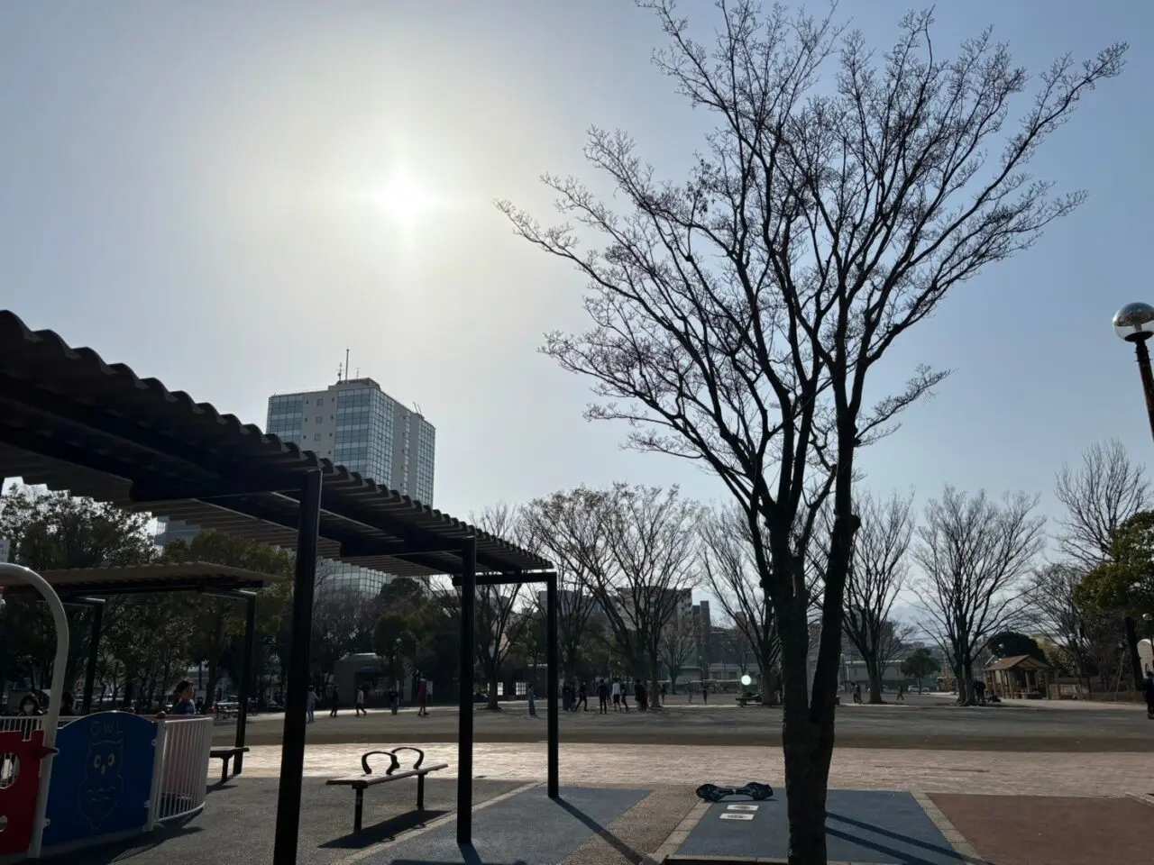 中央公園