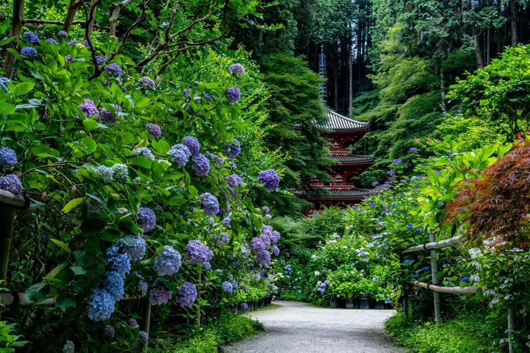 岩船寺の画像