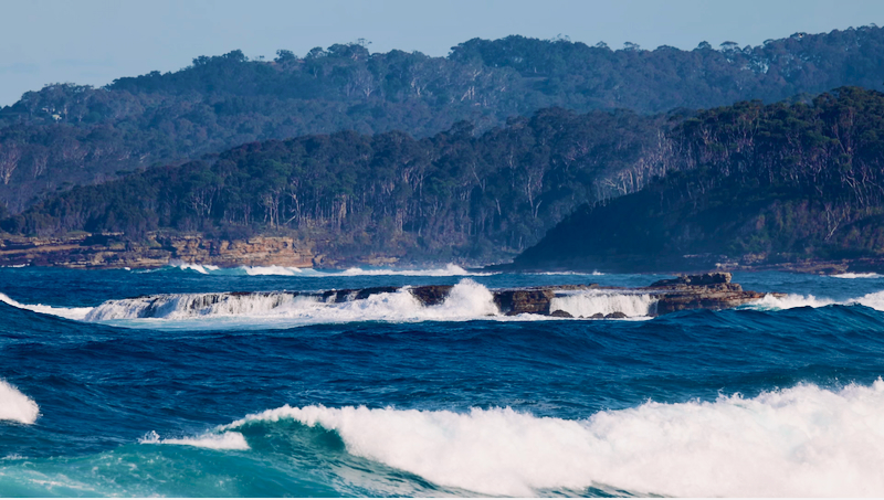 スクリーンショット 2025-06-06 8.50.51