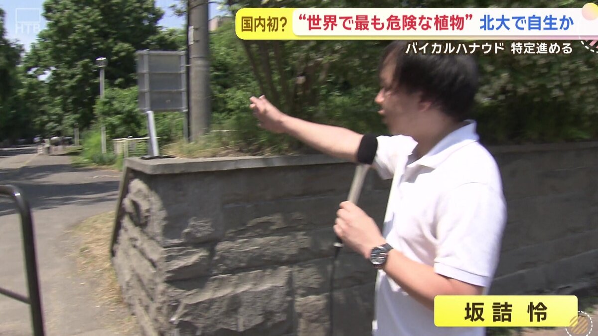 vlcsnap-2025-06-26-14h11m02s404.jpg