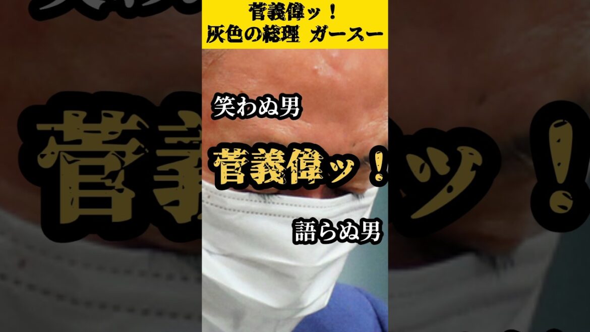 【政治家図鑑】菅義偉ッ!!「灰色の総理ッ！ガースー」#shorts #short #菅義偉 #カイジ