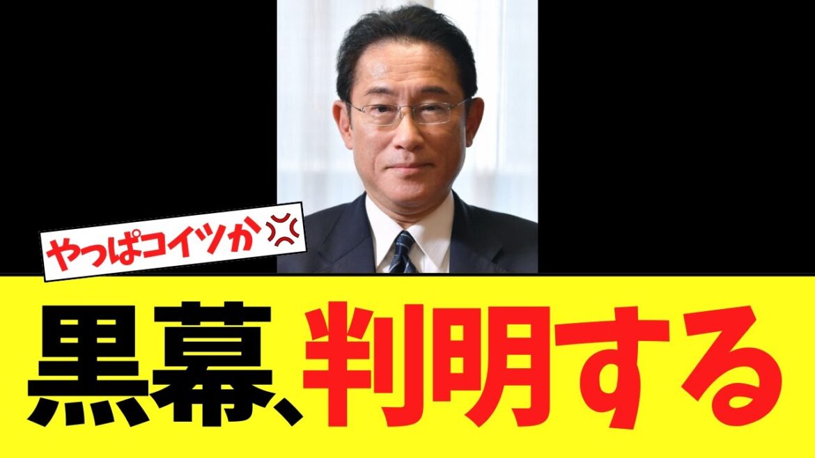 岸田文雄、党員に「石破おろしに署名するな」と圧力をかけていた！！！