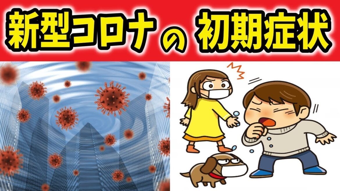 【新型コロナウイルスの最新情報】新型コロナの4つの初期症状、発症リスクの高い人、医療機関を受診した方がいい人とは【ノレッジPlus】
