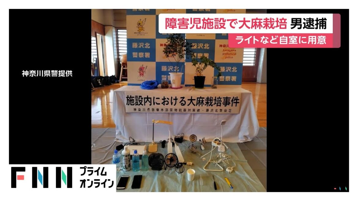 障害を持つ児童を支援する施設内で大麻草を栽培か　施設の責任者の男（31）現行犯逮捕