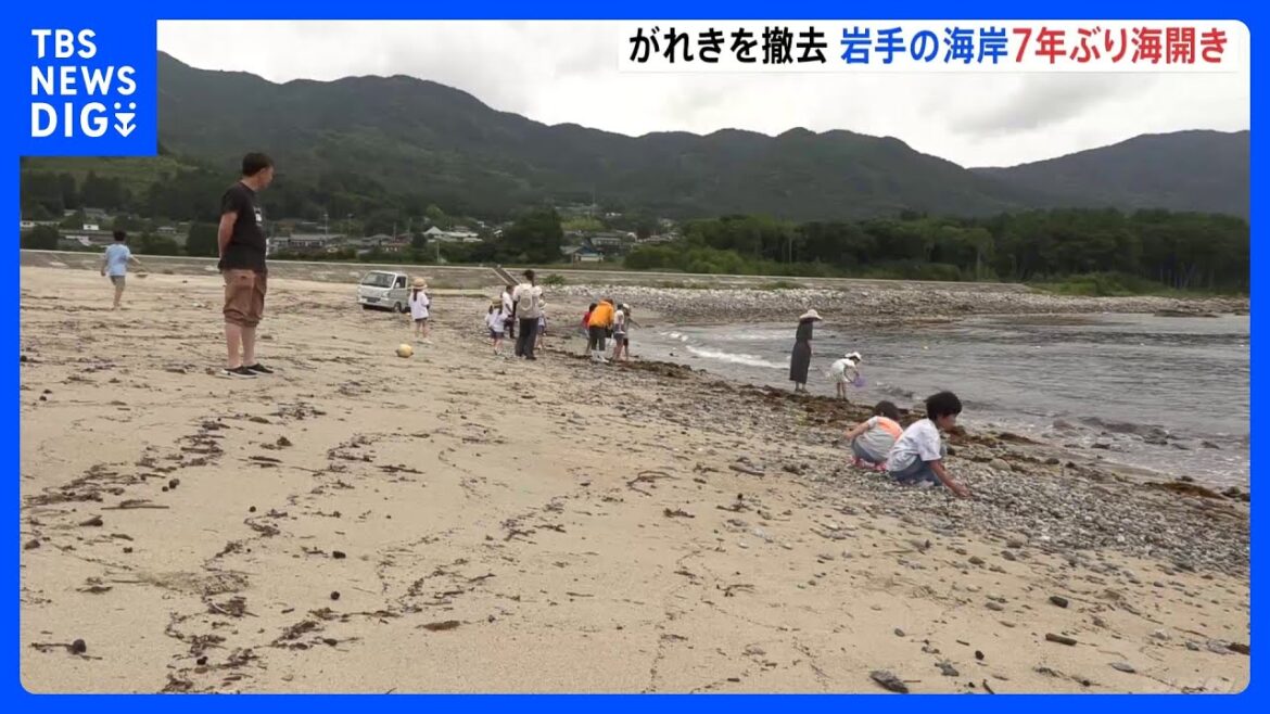 7年ぶりの海開き　東日本大震災で発生したガレキの影響で遊泳禁止の岩手県大船渡市内の吉浜海水浴場｜TBS NEWS DIG