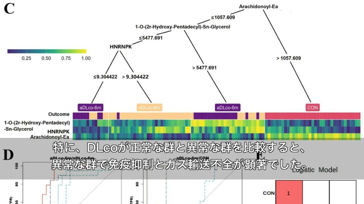 COVID-19後遺症（PASC）の分子メカニズム解明｜3年間追跡研究で見えた呼吸機能低下の予測因子