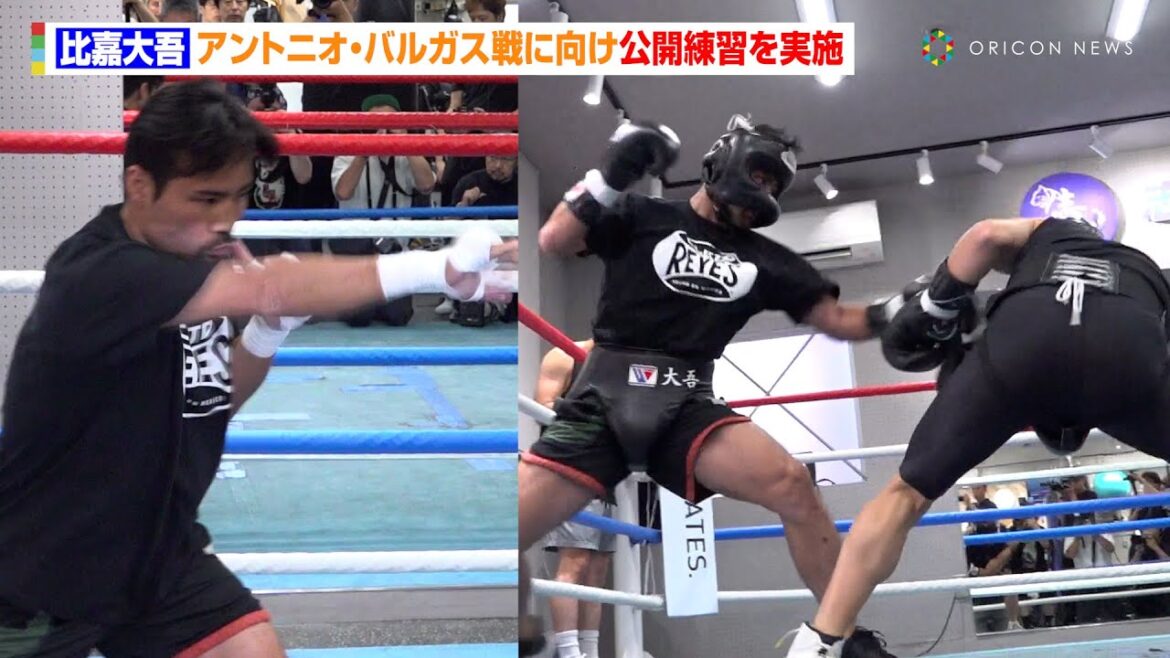 比嘉大吾、3戦連続の世界挑戦に向け公開練習を実施　激しいスパーリング＆ミット打ちを披露　『U-NEXT BOXING.3』公開練習