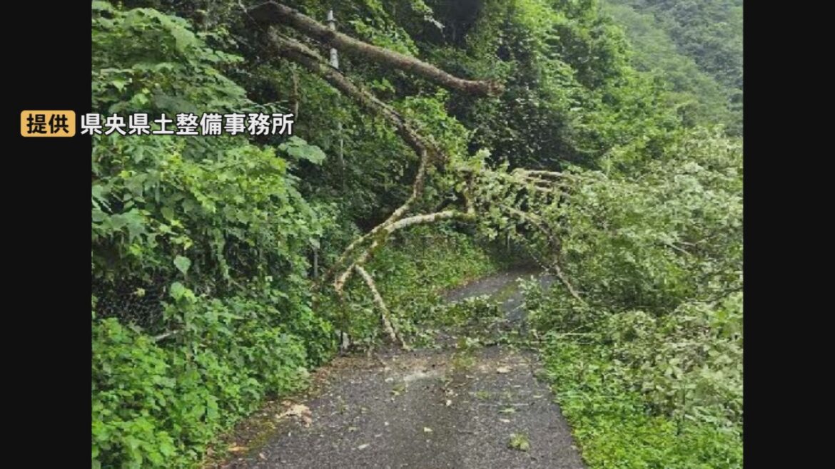江の川沿いの県道 倒木のため通行止め（9日午前10時現在）　8日に110ミリの雨が降り「記録的短時間大雨情報」発表された島根県邑南町　（BSS山陰放送） - Yahoo!ニュース