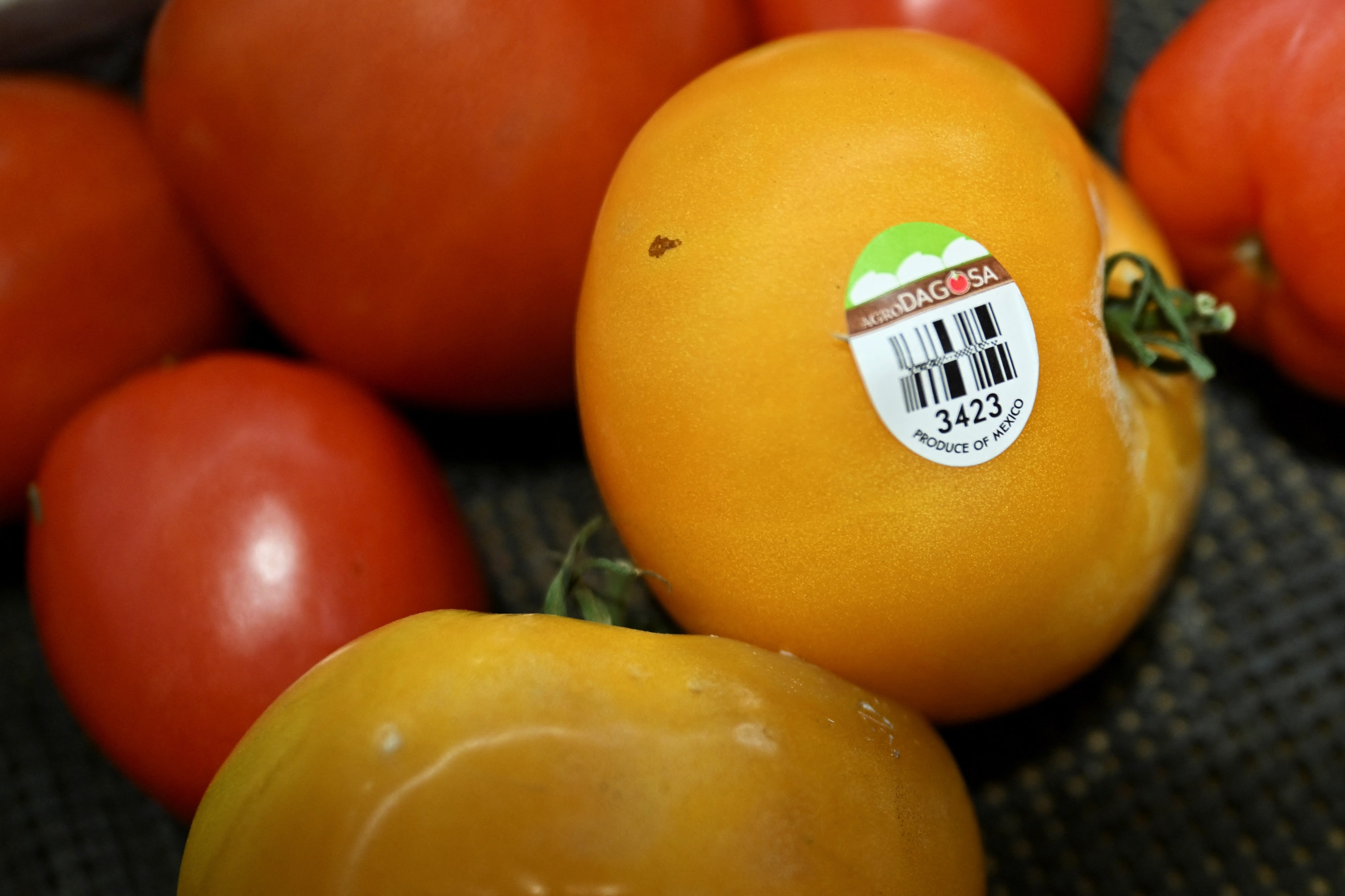米、メキシコ産トマトの大半に約17％関税　合意離脱で
