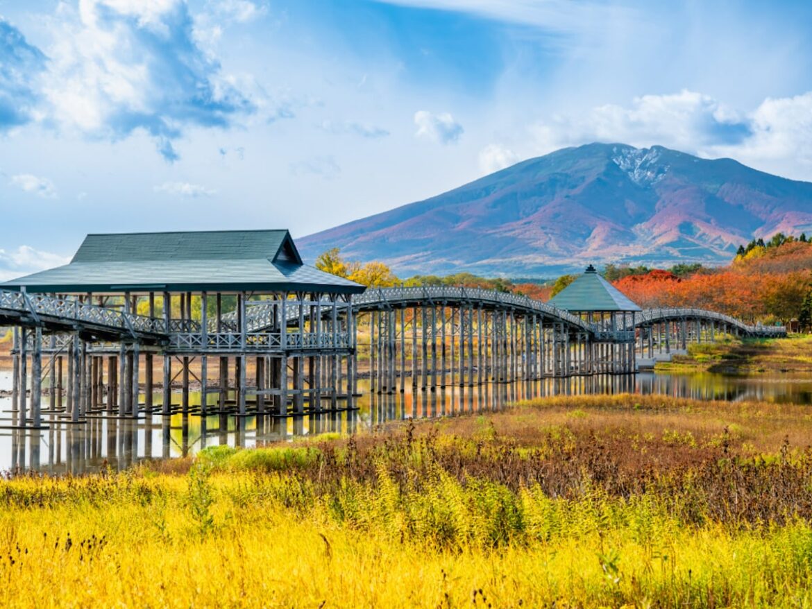 ナンバープレートで地元愛を感じる青森県の地名ランキング！ 2位「青森」と僅差の1位は？ - All About ニュース