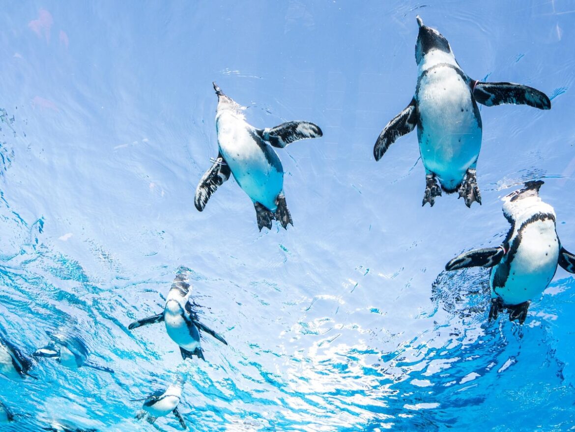 「夏に行きたい東京都の避暑観光地」ランキング！2位「サンシャイン水族館」、1位は？【2025年調査】 - All About ニュース