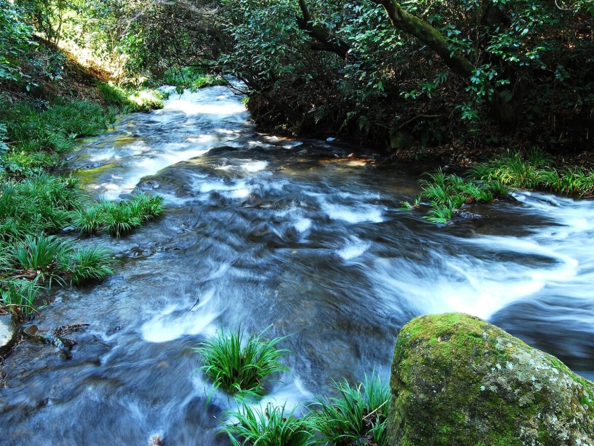 夏に行きたい「熊本県の穴場秘境」ランキング！ 2位「白川水源」、1位は？【2025年調査】 - All About ニュース