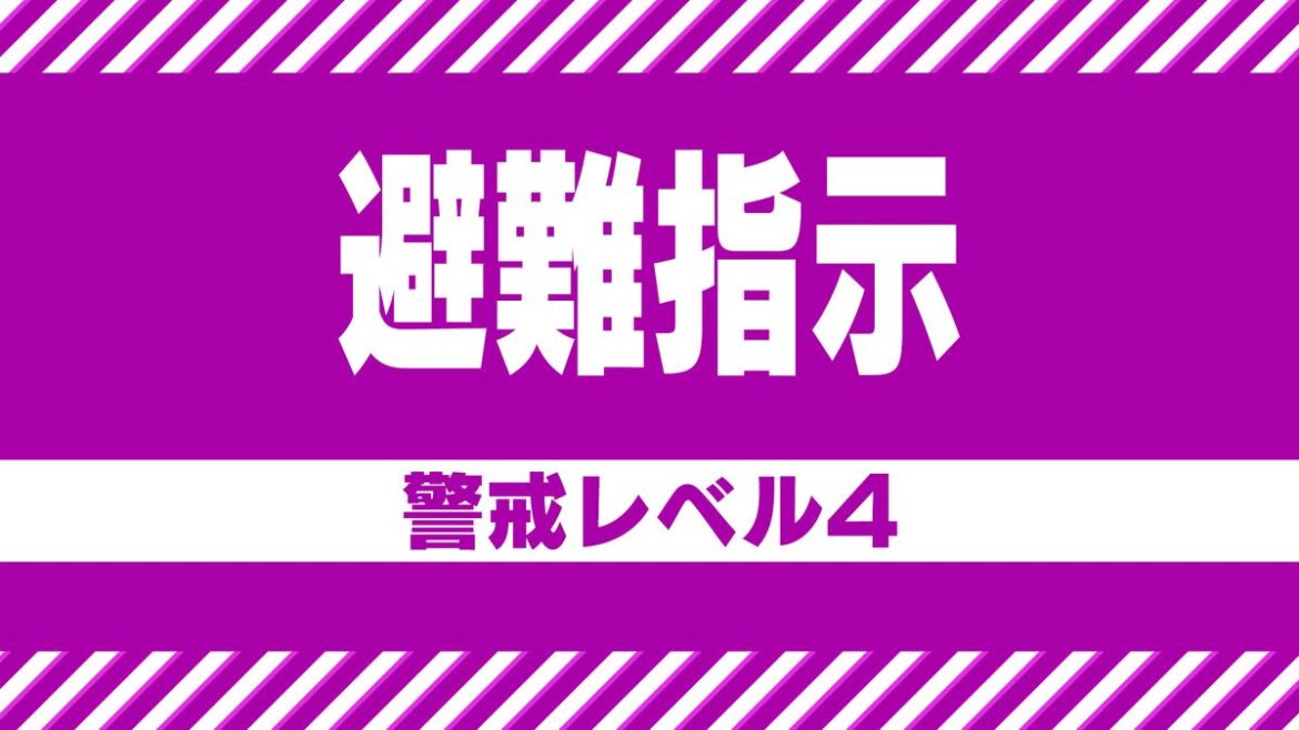 共有
