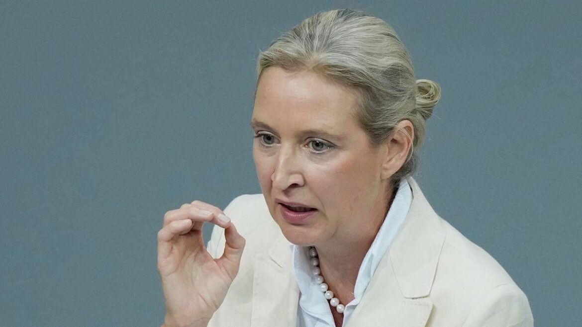 抗議者は極右AFD党のリーダーであるアリス・ワイデルとのライブインタビューをかき消す