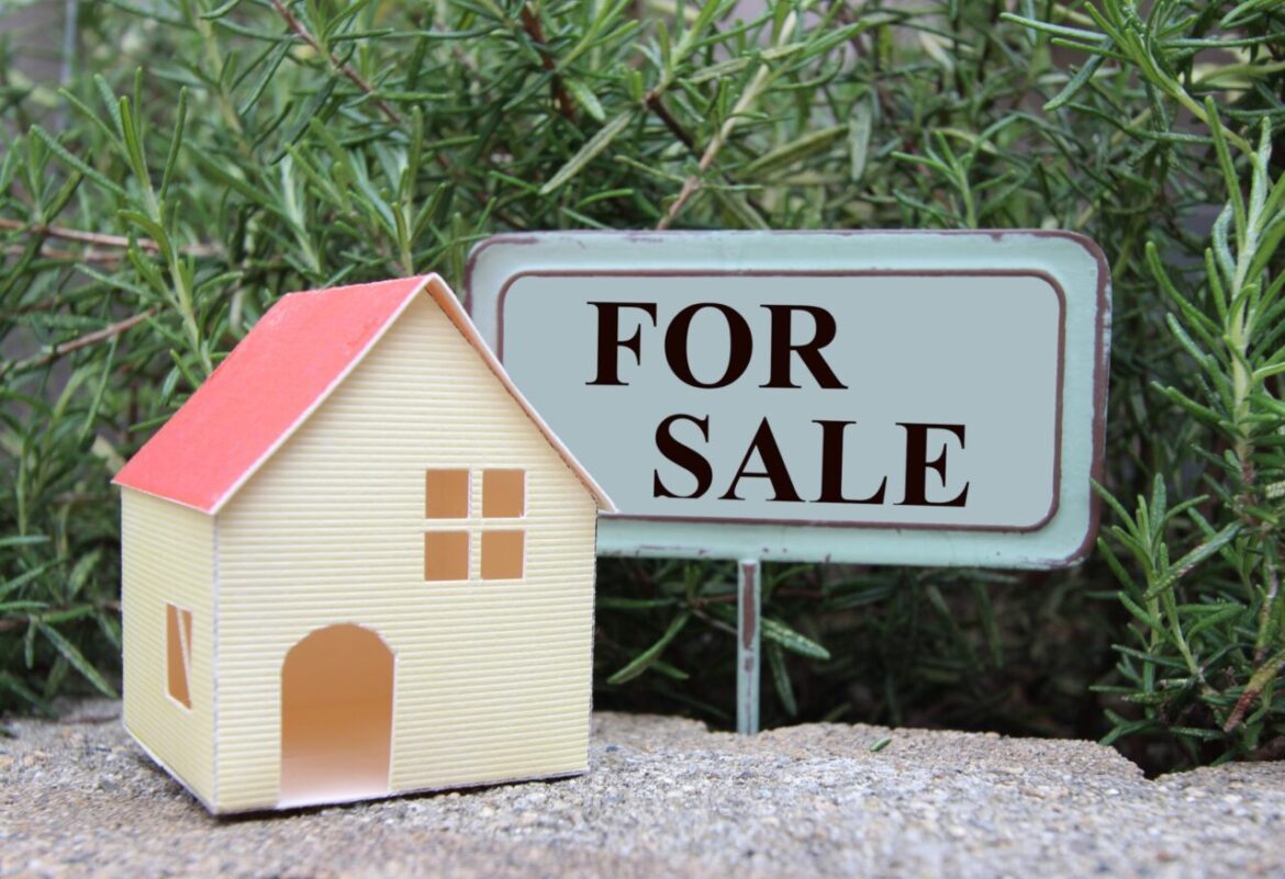 【徳島県板野郡】一時休業中「Cafe Contigo(カフェ コンティゴ)」が閉店ガレージセールを明日7月11日より開催予定との情報をお寄せいただきました | 号外NET 徳島市 SALEのイメージ