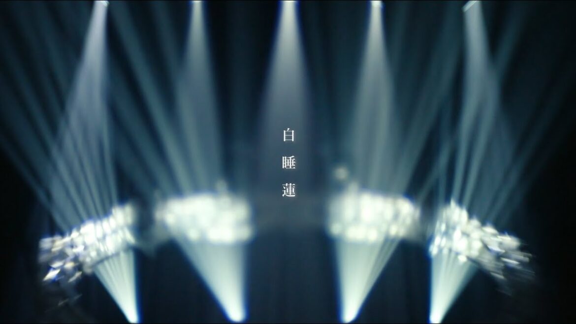 氷川きよし / 白睡蓮【公式】 氷川きよし / 白睡蓮【公式】