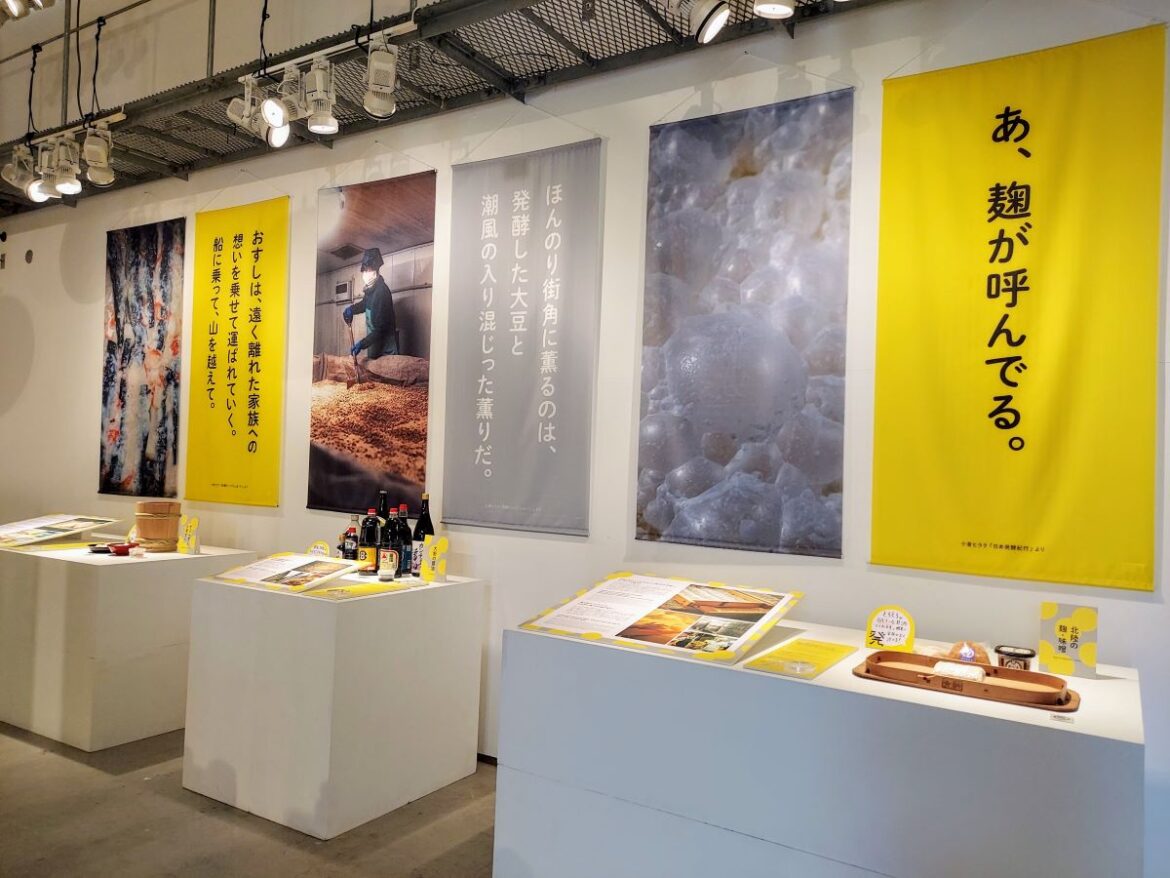 「発酵文化芸術祭 金沢」　アートが紡ぐ石川の発酵文化の記憶 - 金沢経済新聞