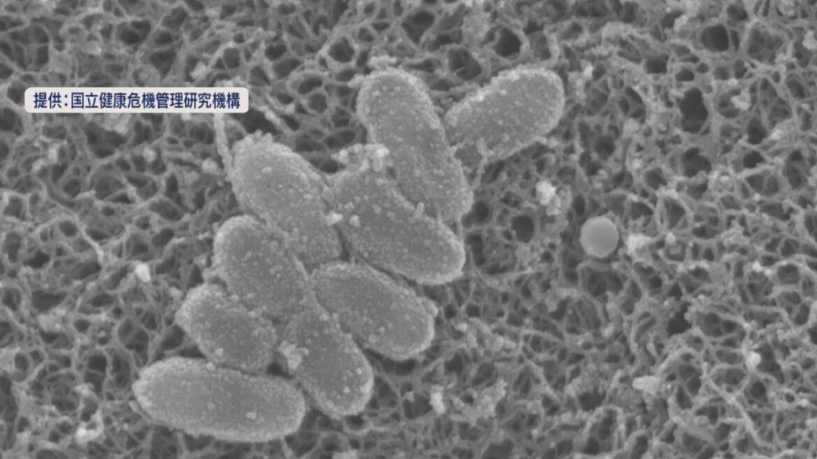 新型コロナ感染者が６週連続で増加　２７日までの１週間に２１７人