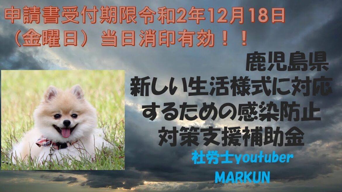 鹿児島県新しい生活様式に対応するための感染防止対策支援補助金