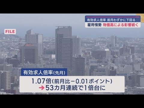 YouTube Video ７月の静岡県内の有効求人倍率は１．０７倍　物価高の影響で前の月をわずかに下回る