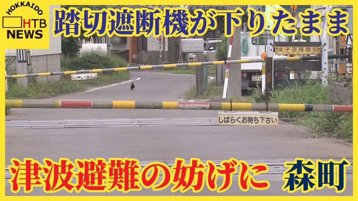 津波警報で踏切の遮断機が下りたまま　住民避難の妨げに　貨物列車緊急停止で　北海道森町