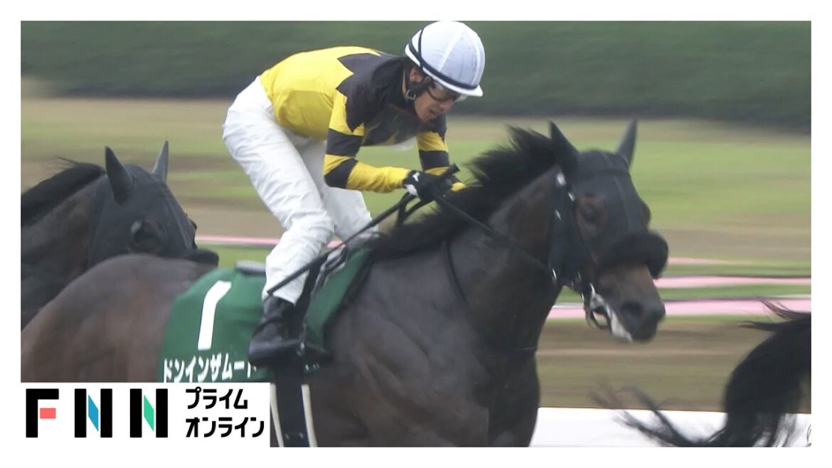 【レパードS・GⅢ＆CBC賞・GⅢ】不良馬場を突き抜けたドンインザムードが3歳ダート登竜門制す！2日連続重賞Vの佐々木大輔騎手がインビンシブルパパを導く！