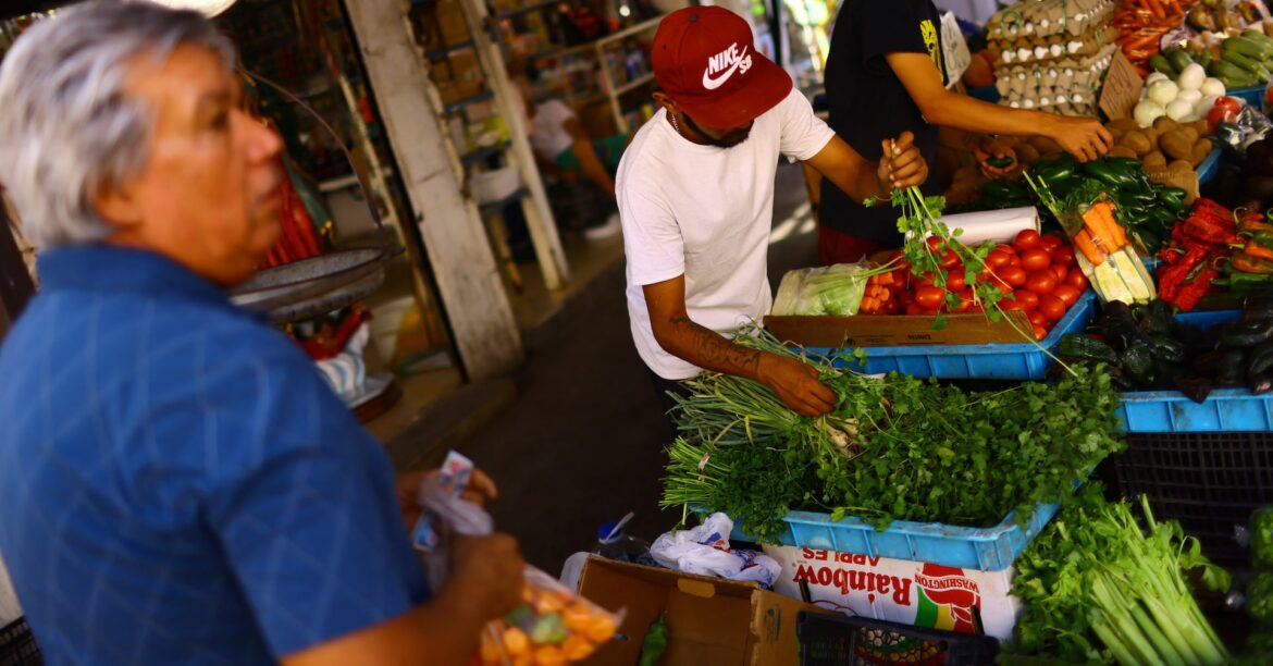 メキシコ、トマトに最低輸出価格設定 米の2国間合意破棄で | ロイター メキシコ、トマトに最低輸出価格設定 米の2国間合意破棄で | ロイター