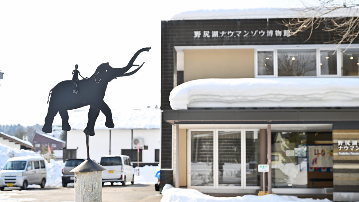 【若林直樹のトラベルフォトギャラリー】ナウマン象眠る野尻湖(長野県) – トラベル Watch 【若林直樹のトラベルフォトギャラリー】ナウマン象眠る野尻湖(長野県) - トラベル Watch