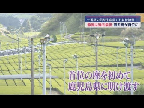 YouTube Video 静岡県内の2025年一番茶の荒茶生産量は8120トン　鹿児島県に抜かれ初めて2位に