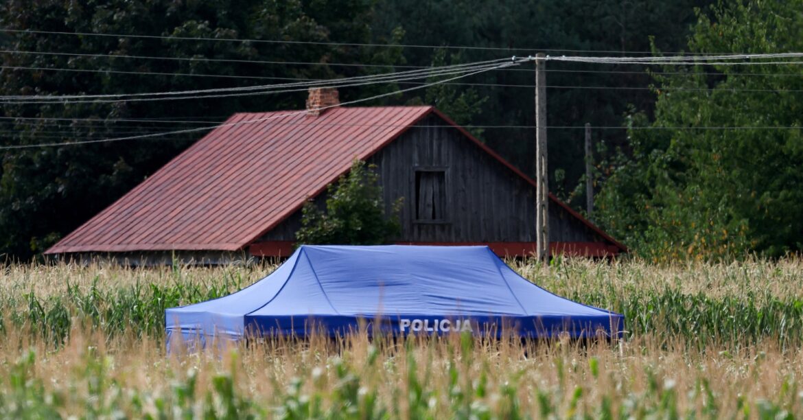 ポーランド東部でロシア無人機墜落、イラン製の可能性も＝当局 | ロイター
