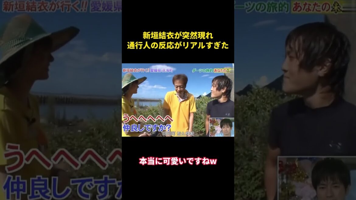 新垣結衣が突然現れ、通行人の反応がリアルすぎる #music #面白集 #面白い #funny #お笑い