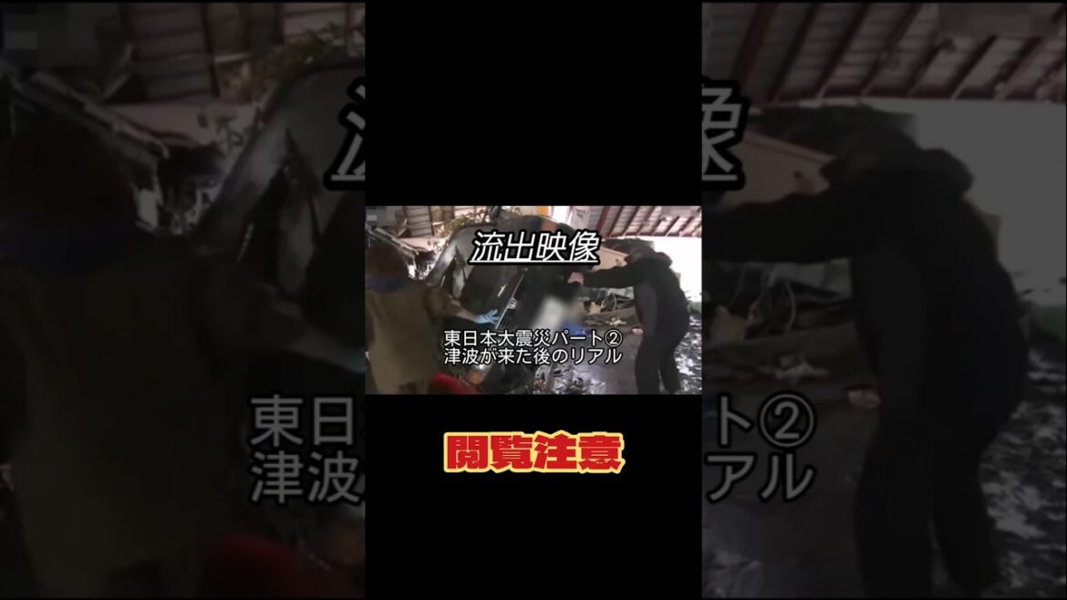 【閲覧注意】流出映像：東日本大震災パート②津波が来た後のリアル　#東日本大震災　#津波　#閲覧注意　#災害