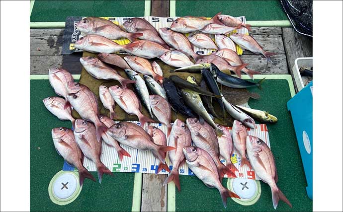 【沖のルアー釣果速報】タイラバ便でマダイ最大62cmを筆頭に船中35匹の好釣果（三重）