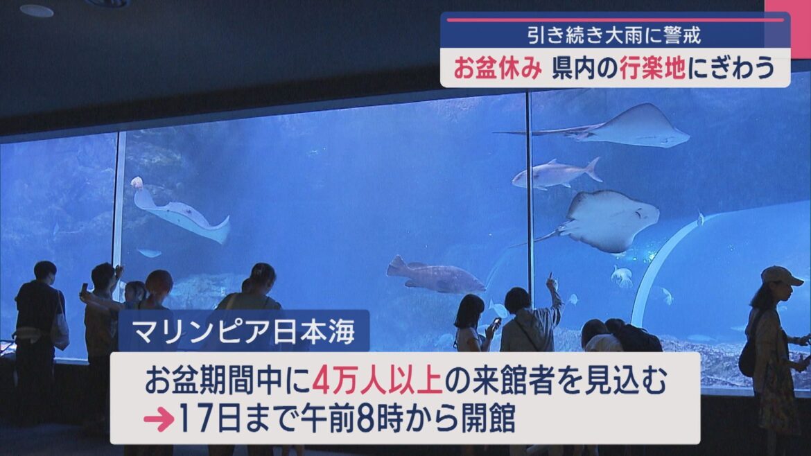 イルカの迫力ジャンプ！「ぬれなくて楽しい」県内の行楽地 お盆休みにぎわう【新潟】（UX新潟テレビ21） - Yahoo!ニュース
