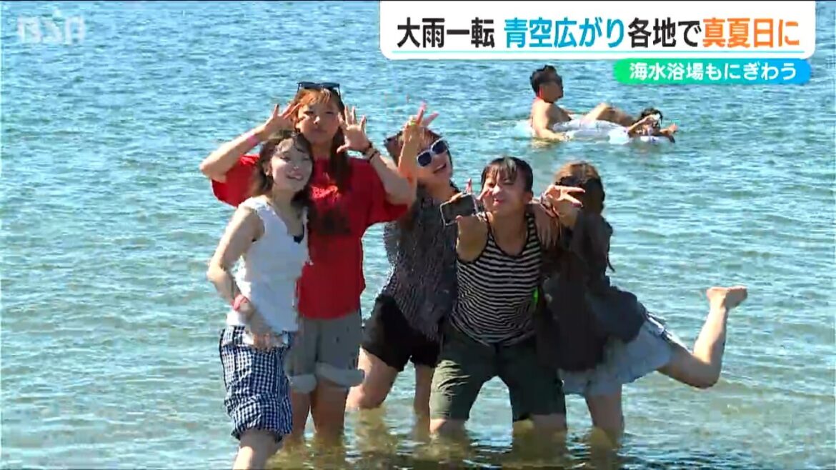 お盆休みは大雨から一転 青空広がり各地で『真夏日』海水浴やBBQ 50万本のヒマワリに多くの人出　新潟県内（ＢＳＮ新潟放送） - Yahoo!ニュース