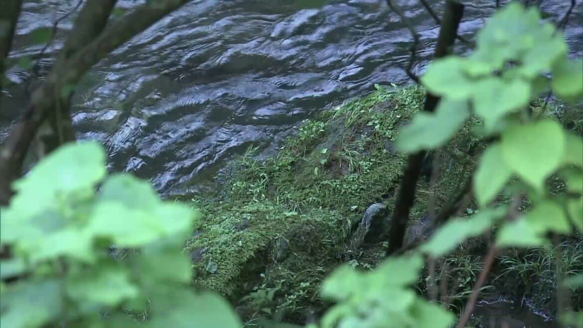 河川敷に女性の遺体を遺棄した疑いで54歳男と35歳女を逮捕　死因は窒息か　岐阜県本巣市（TBS NEWS DIG Powered by JNN）