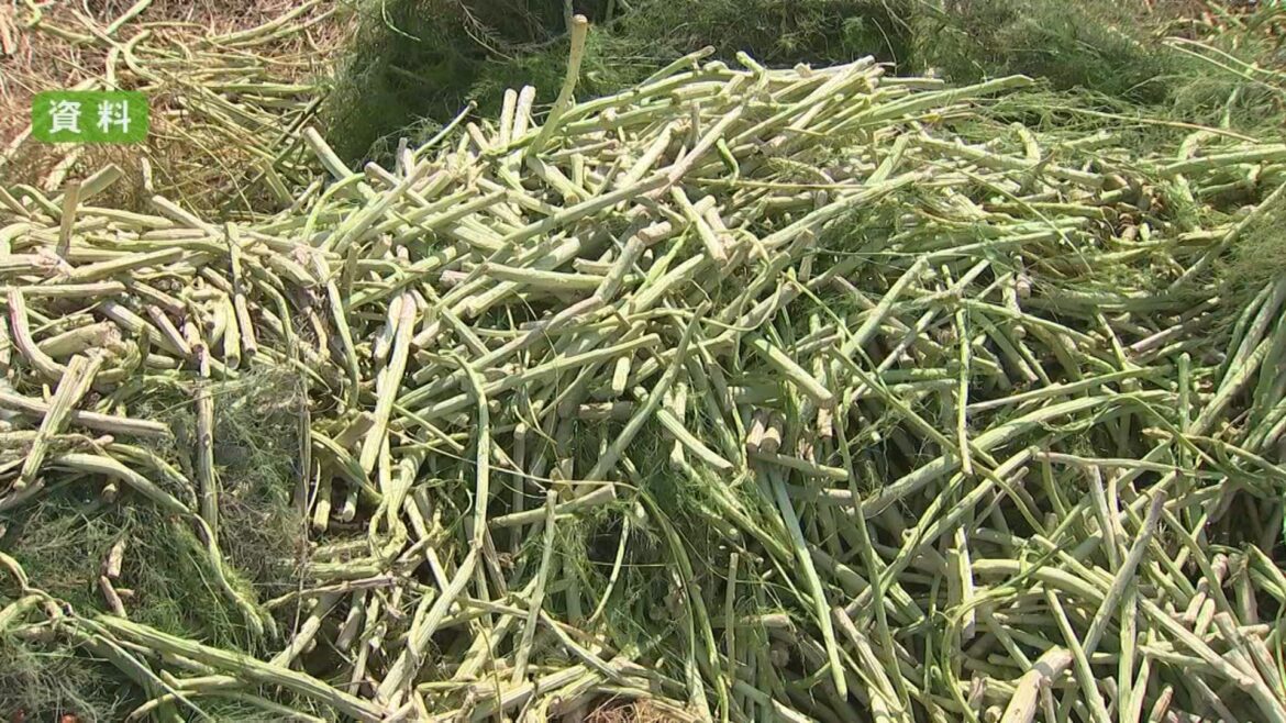 【記録的大雨】熊本県内の農林水産業関連の被害額150億円超 被害額は今後も増える見込み「実態把握を急ぐ」（FNNプライムオンライン） - Yahoo!ニュース - Yahoo!ニュース
