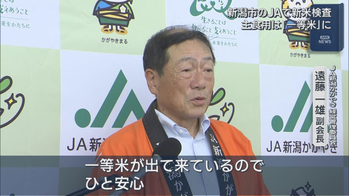 新潟市のJAで新米の検査 主食用は「一等米」に【新潟】（UX新潟テレビ21） - Yahoo!ニュース