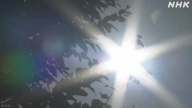 東海3県気温上昇 16日愛知・三重に熱中症警戒アラート – nhk.or.jp 東海3県気温上昇 16日愛知・三重に熱中症警戒アラート