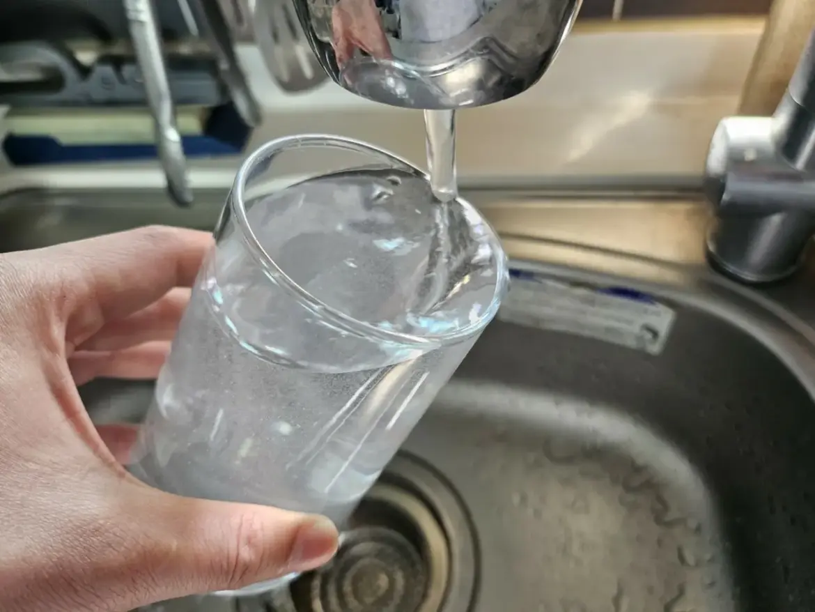 水道水から「脳を食べるアメーバ」が検出＝オーストラリア | wowKorea（ワウコリア）