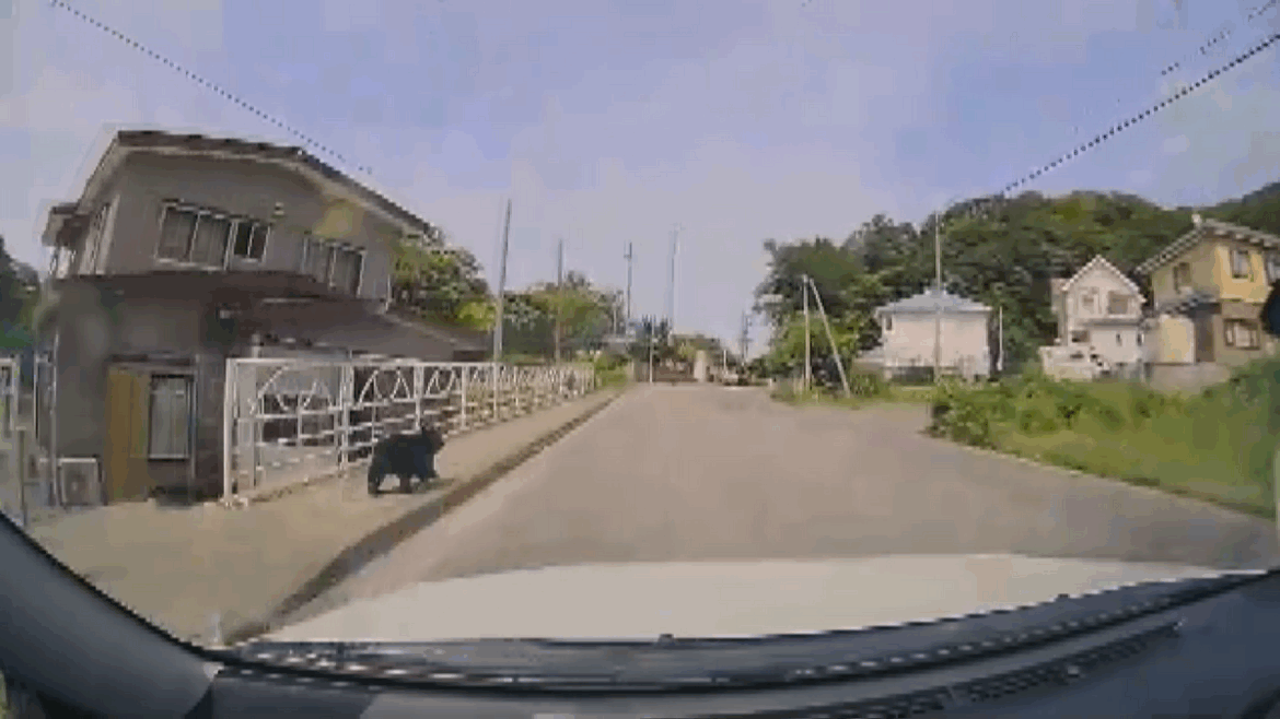 青森放送