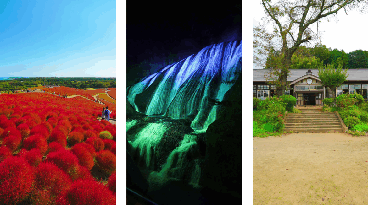 TikTok、茨城県と連携のもと、県の魅力発信キャンペーンを10月23日から実施。秋の紅葉や花絶景などの県内おすすめスポットを紹介！ - ニュースルーム | TikTok