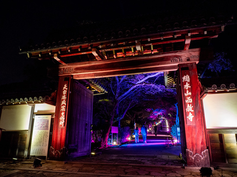 P8161221