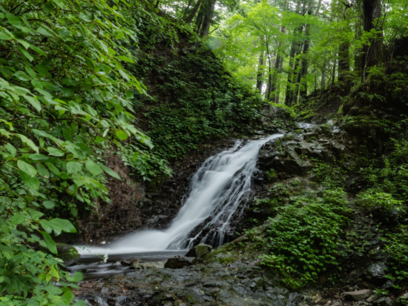 「夏に行きたい滝」ランキング